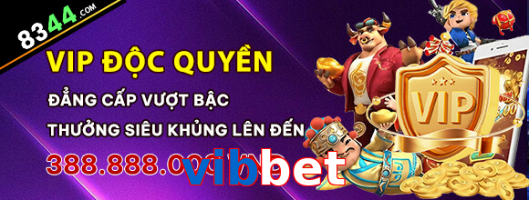 vibbet