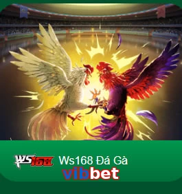vibbet